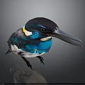 Vibrant Kingfisher with Shiny Blue Green Plumage Yellow Collar Long Beak on Dark Background
