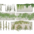 Decorative Vines with Climbing and Hanging Styles for Wall and Structure Decoration