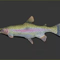 Realistic 3D Rendering Of Vibrant Rainbow Trout With Colorful Stripes And Spotted Body