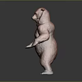 Standing Brown Bear 3D Model With Upright Posture On Gray Background 3d model