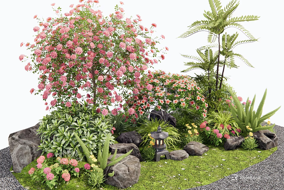 Beautiful Pink Flowering Shrubs with Stones Lantern Lush Green Plants and Grass Area 3d model 