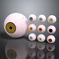 Medical Device Eye Models Display Featuring Various Colored Irises And Different Sizes 3d model