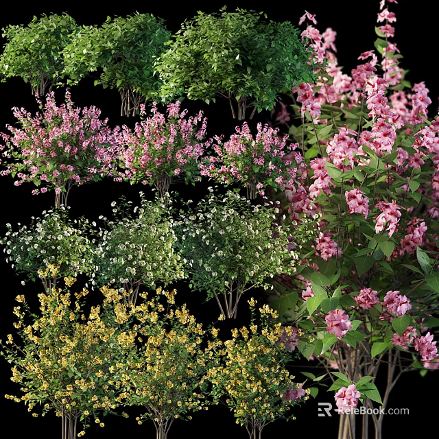 Vibrant Assorted Flowering Plants With Pink White Yellow Blooms And Lush Green Foliage 3d model 