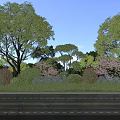 Lush Roadside Garden with Green Shrubs Pink Red Flowers and Blue Sky