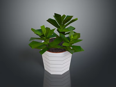 Lush Green Leafy Plant In White Hexagonal Textured Pot With Vibrant Foliage 3d model