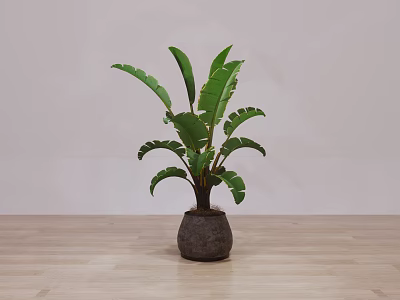 Green Leaf Potted Plant in Dark Pot on Wooden Floor with Light Wall 3d model