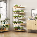 Modern Multi-tier Metal Shelves with Wooden Boards Holding Green Plant Pots for Indoor Decor