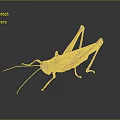 grasshopper insect cartoon locust animation locust anime locust anime game character 3d model