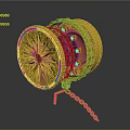 Golden Jewelry Piece With Prayer Wheel Design Intricate Patterns Colorful Details And Chain