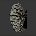 Tiny Marine Polyps Forming White Coral Colony Against Dark Background 3d model