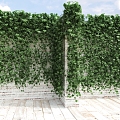 Modern Vine Wall Vine Green Plant 3d model