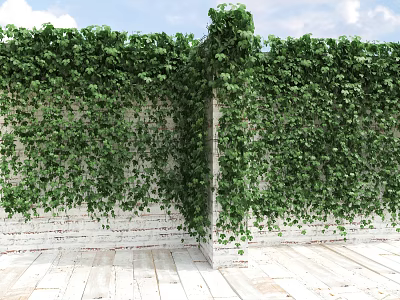 Lush Green Vines Covering White Brick Wall With Wooden Floor And Sky Background 3d model Lush Green Vines Covering White Brick Wall With Wooden Floor And Sky Background 3d model