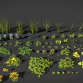 Colorful Green Blue Yellow Purple Grass And Flowers Plant Collection