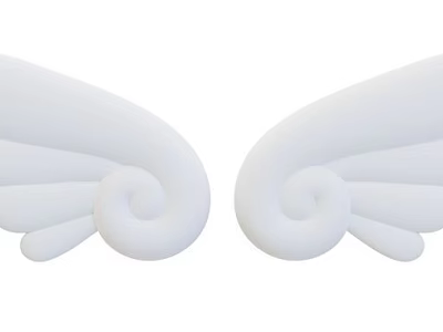Wings Decorative Cute Wings 3d model