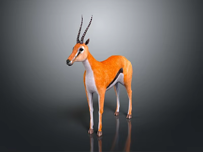 Orange And White Antelope Standing With Black Horns On Dark Background 3d model