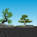 Tree Pit Landscaping Design With Green Trees Stones And Purple Plants
