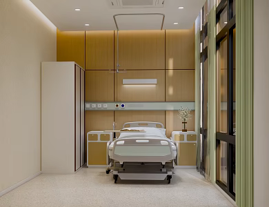 Modern ward General ward 3d model