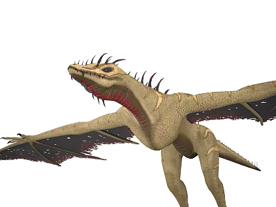 Mythical Flying Dragon With Beige Body Spiked Back Red Throat And Black Wings 3d model