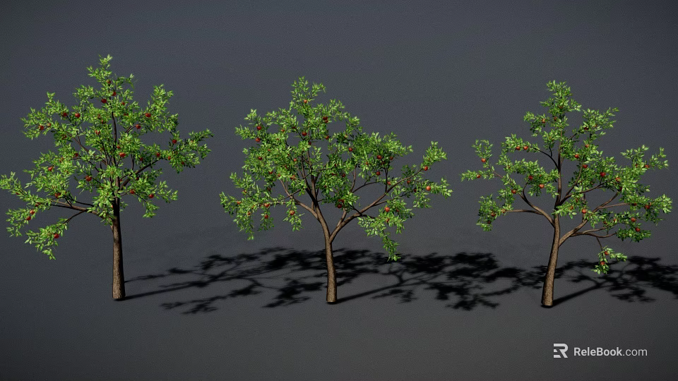 Three Trees With Green Leaves Red Fruits Brown Trunks And Shadows On Gray Background 3d model 