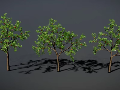 Three Trees With Green Leaves Red Fruits Brown Trunks And Shadows On Gray Background 3d model