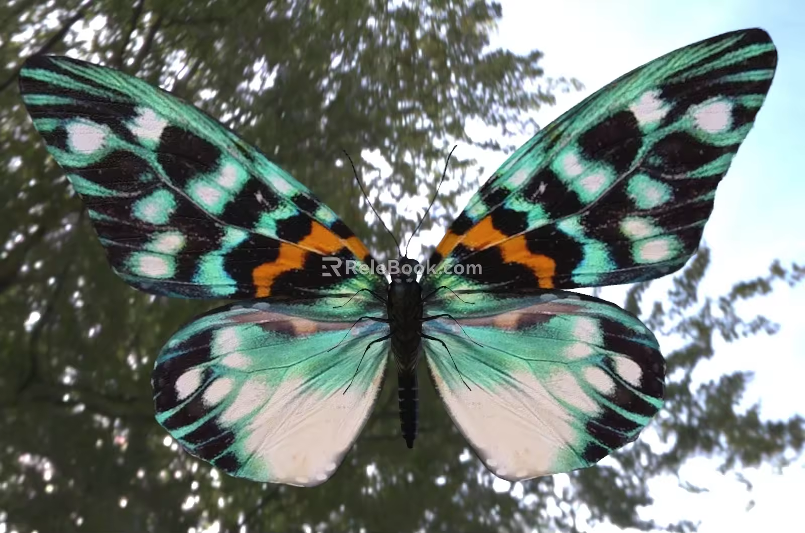 Mountain longan firefly moth butterfly biological insect 3d model