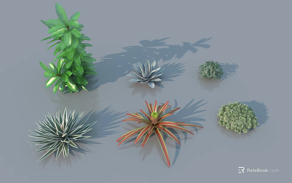 Arbor And Diverse Green Plants With Different Leaf Shapes And Colors 3d model 