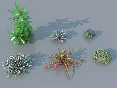 Arbor And Diverse Green Plants With Different Leaf Shapes And Colors 3d model