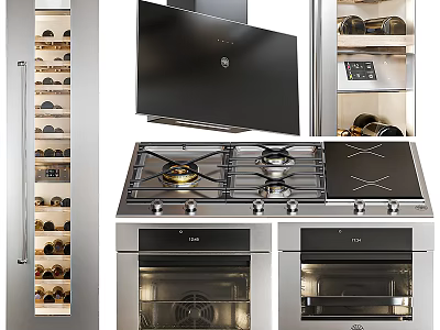 Modern Stainless Steel Kitchen Appliances With Gas Stove Oven Range Hood And Wine Cabinet 3d model
