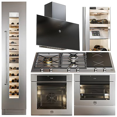 Modern Stainless Steel Kitchen Appliances With Gas Stove Oven Range Hood And Wine Cabinet 3d model