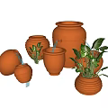 Terracotta Ceramic Vessels in Various Sizes and Shapes with Striped Design and Green Plants