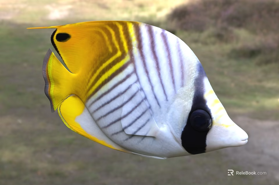 Bright Yellow And White Striped Tropical Butterflyfish With Black Markings Marine Aquatic Life 3d model 