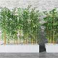 Modern bamboo 3d model