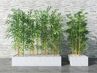 Modern bamboo 3d model