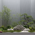 Modern Indoor Miniature Garden Design With Bonsai Pine Bamboo Rocks And Moss