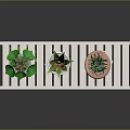 Stylish Two Tiered White Wooden Shelf With Potted Green Plants And Colored Pots