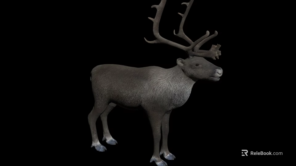 Realistic 3D Model of Reptile Featuring Detailed Skin Texture and Lifelike Posture 3d model 