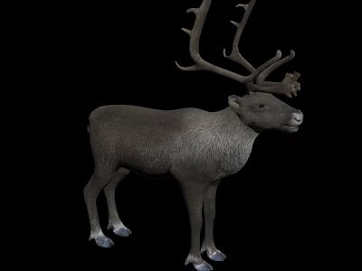 Realistic 3D Model of Reptile Featuring Detailed Skin Texture and Lifelike Posture 3d model