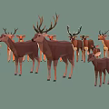 Group of Deer with Various Sizes Antlers and Fawns in Natural Scene