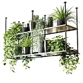 Lush Garden Decor With Multi Tiered Metal Rack And Potted Green Plants