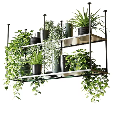 Lush Garden Decor With Multi Tiered Metal Rack And Potted Green Plants 3d model