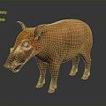 Wild Boar With Orange Fur And Red Eyes Standing On Gray Background