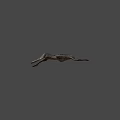 Dark Colored 3D Pterosaur Model With Spread Wings And Shadow