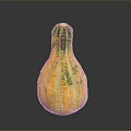 Ripe Fresh Organic Yellow Green Speckled Pumpkin With Unique Curved Shape