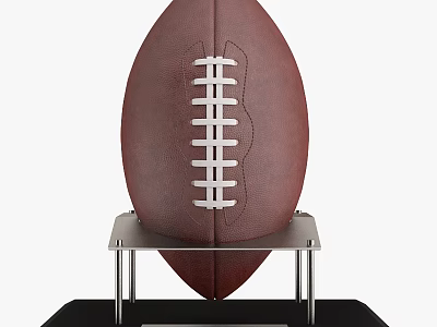 High Quality Leather Football On Metal Display Stand For Sports Gear 3d model