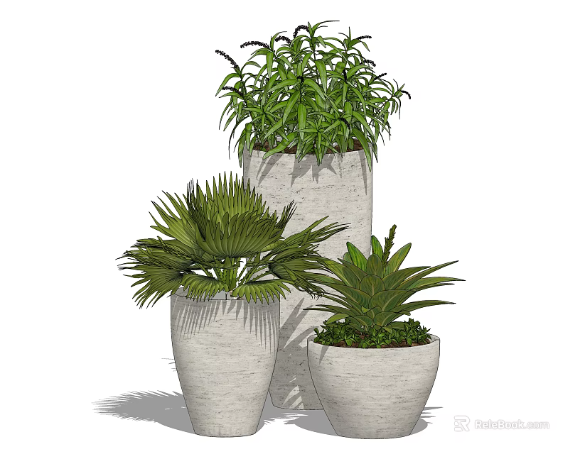 Decorative Potted Bonsai Plants With Various Green Foliage And Ceramic Pots 3d model 