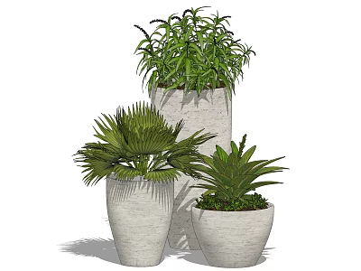 Decorative Potted Bonsai Plants With Various Green Foliage And Ceramic Pots 3d model