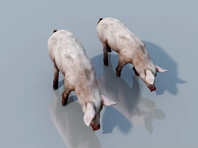 Animal character sketch 3d model Animal character sketch 3d model