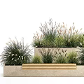 Modern Wooden Outdoor Chair in Garden Setting with Green Plants and Rectangular Planters
