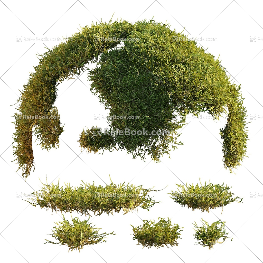 Plant Grass Combination Plant Green Plant Flowers Grass Grass Grass Outdoor 3d model