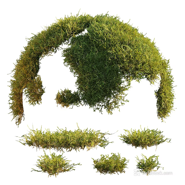Lush Green Moss Various Decorative Forms Including Arch And Flat Patches For Natural Gardens 3d model 